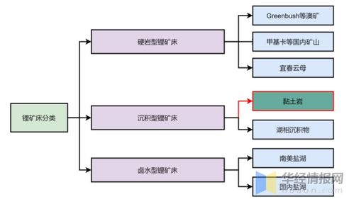 鋰資源行業(yè)發(fā)展現(xiàn)狀及未來趨勢 中國依賴海外進口與信息化支持服務(wù)的重要性